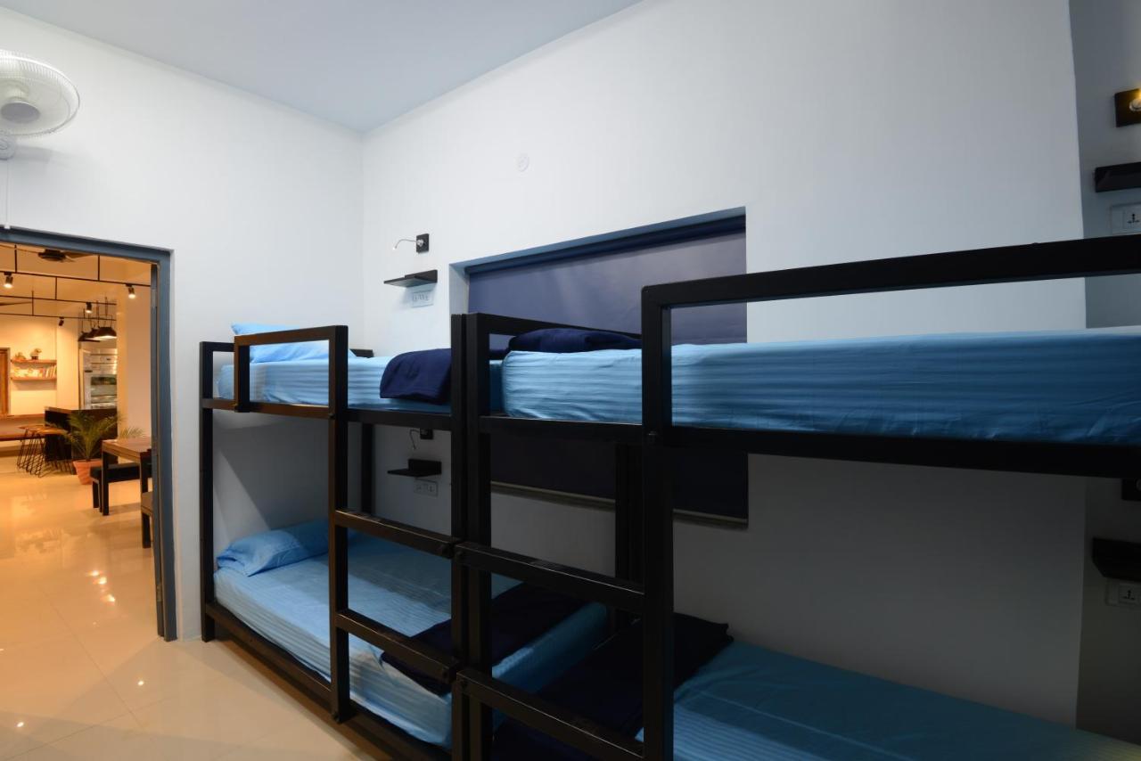 Thc Backpackers Jodhpur Hostel Jodhpur  Luaran gambar